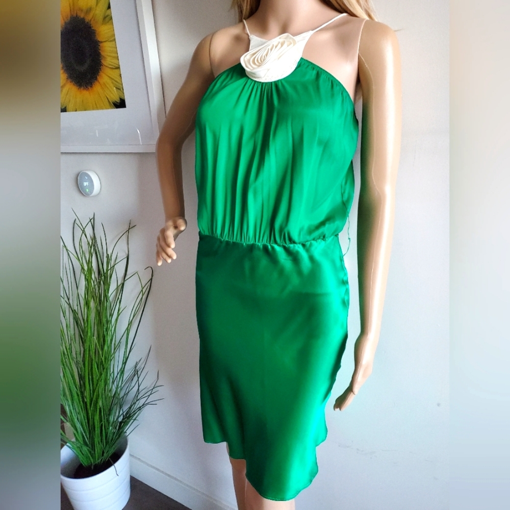 ARDEN B. Green Silk Dress
